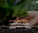 بهترین کتاب برای هوش مالی